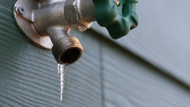Best Same-Day Plumbing Service  in Manning, IA