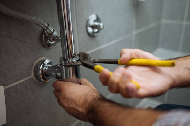 Best Local Plumber Services  in Manning, IA